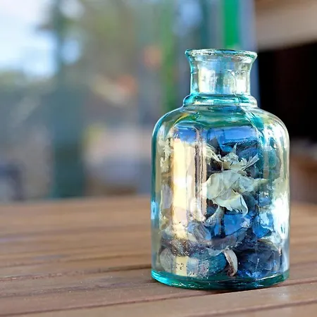 Bungalow Rio Playa *